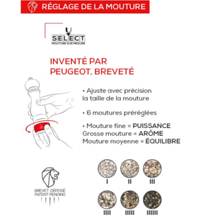 Moulin à poivre manuel en bois et inox, u'Select, graphite, 21 cm- 8' Madras