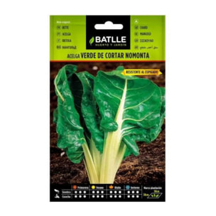 Semillas de Acelga verde de cortar nomonta Batlle