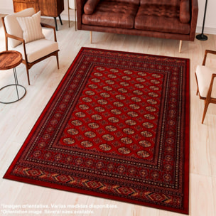 Alfombra de Poliester estampada 140 x 220cm