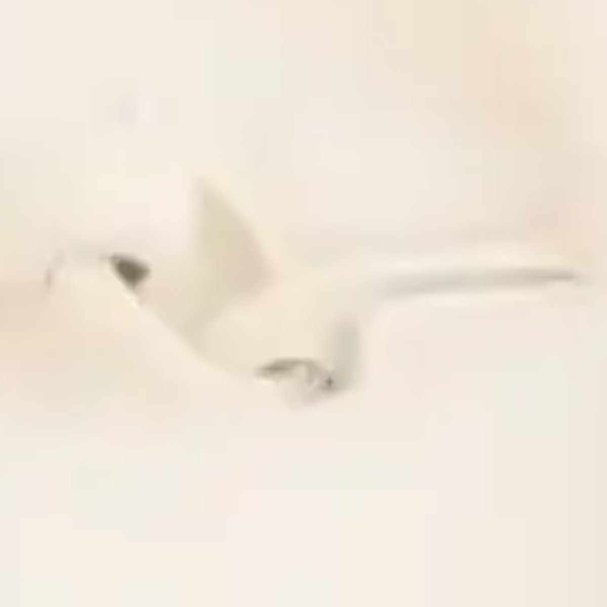 Coussin Enfant Orta 40x40 cm Beige Ocean