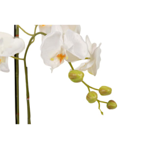 Orquidea Poliester Blanca Con Maceta 34x34x71 Cm