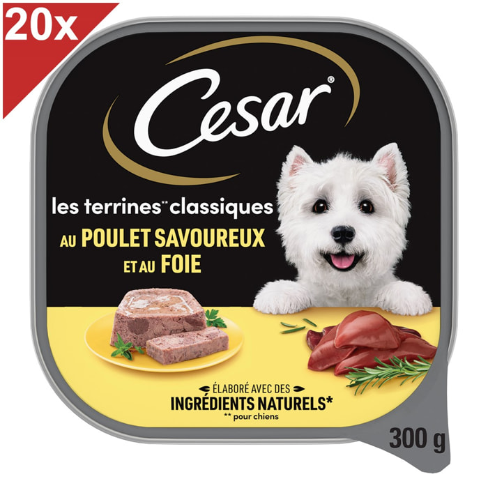 CESAR Barquette poulet en terrine pour chien (20x300g)