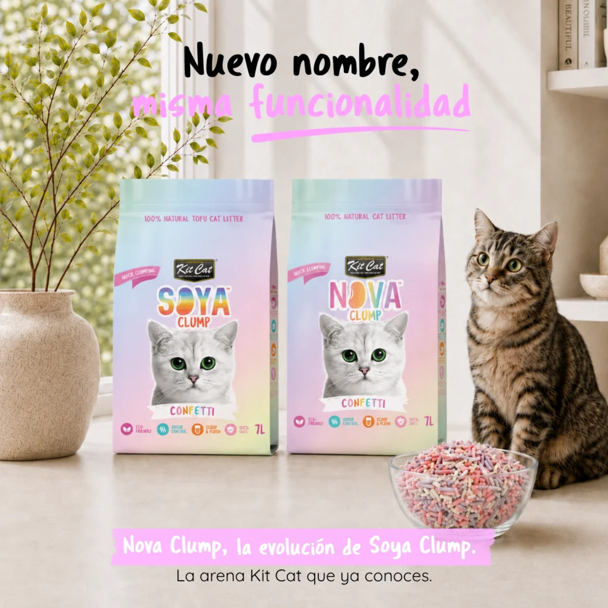 Kit Cat Arena Eco Nova - Confetti 7 L Arena para gatos