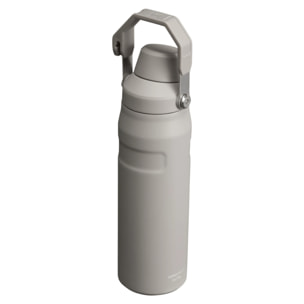 Borraccia Palestra - 0,7L - ICEFLOW™ BOTTLE FAST FLOW - Ash
