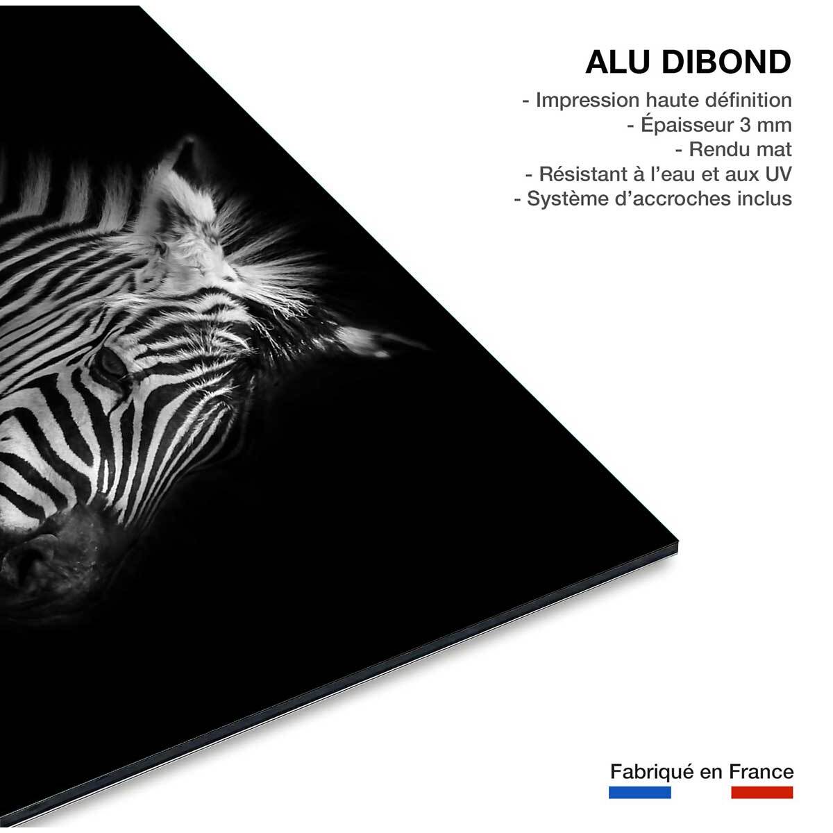 Tableau zebre dans la lumière Tableau alu Dibond