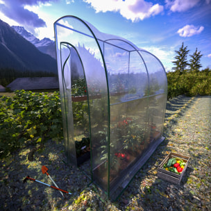 Serra A Casetta Da Parete Muro In Acciaio Per Giardino Piante Fiori Orto Copertura Trasparente in PVC 2 Porte Avvolgibili A Cerniera 200x100x215 Cm