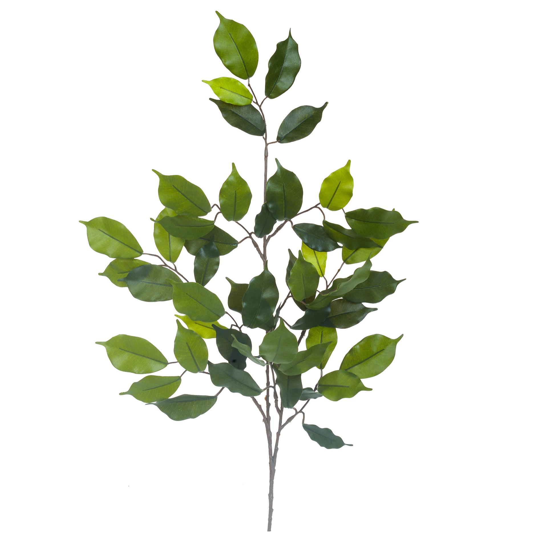 Ramo Di Ficus Con 42 Foglie. Altezza 60 Cm - Pezzi 12 - 29X60X3cm - Colore: Verde - Bianchi Dino - Piante Artificiali