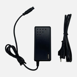 Chargeur 29,4V (2 pins)/Charger 29,4V (2 pins) Hoverboard