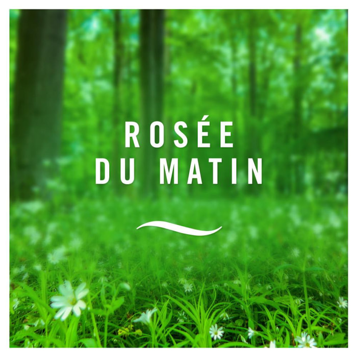6 Aérosols Rosée du Matin, Désodorisant Febreze, 300ml