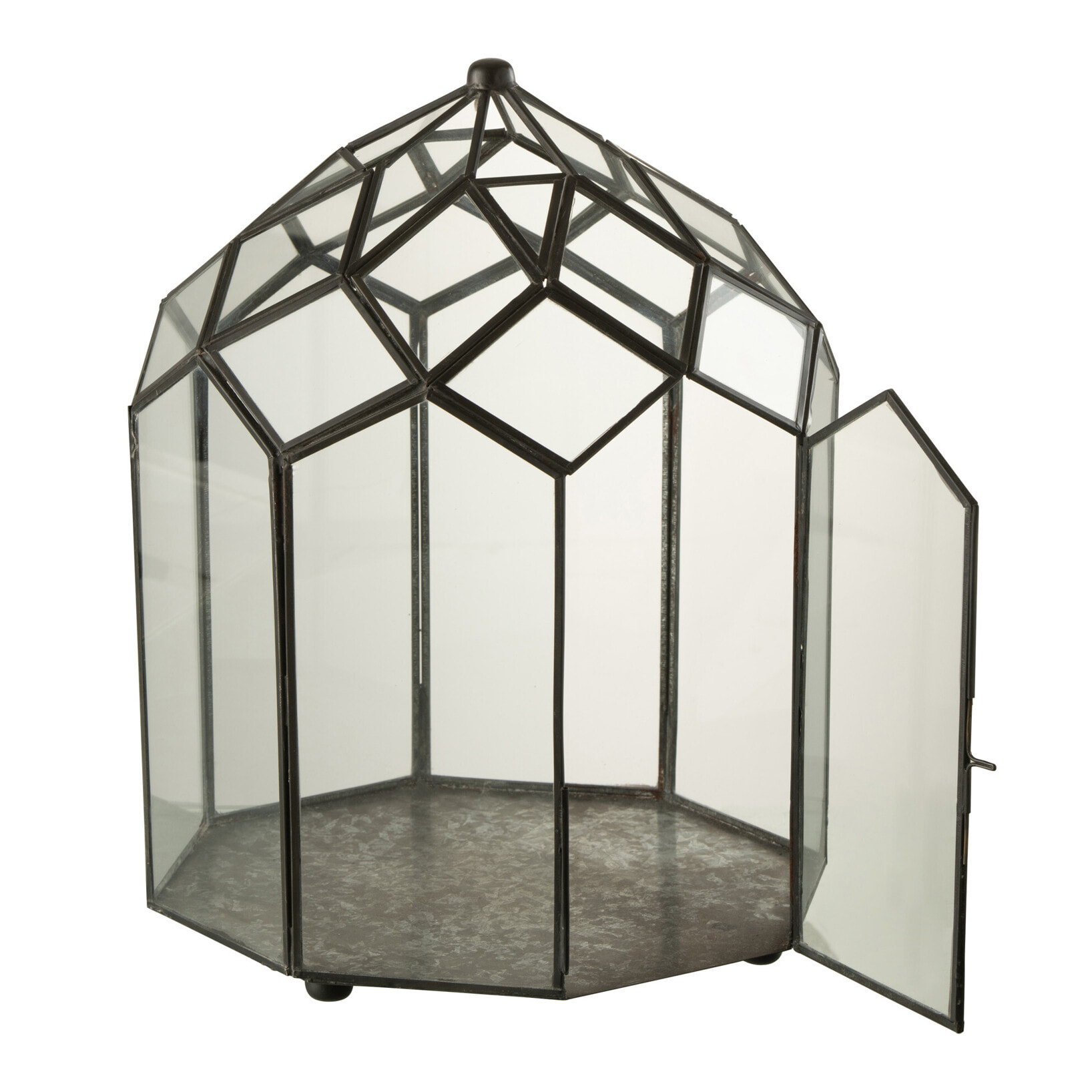 J-Line terrarium - verre/métal - noir - medium