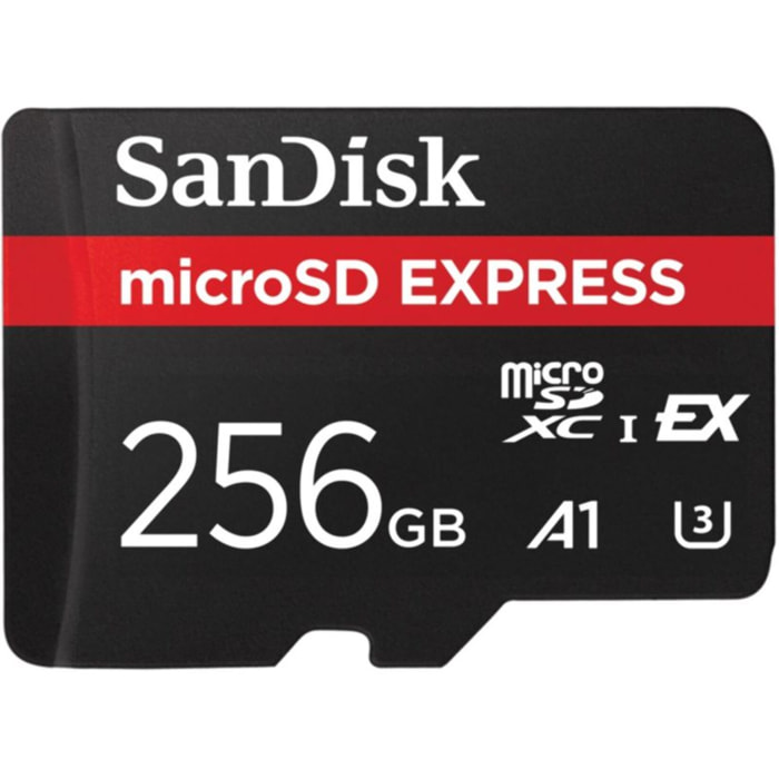 Carte Micro SD SANDISK 256Go Express