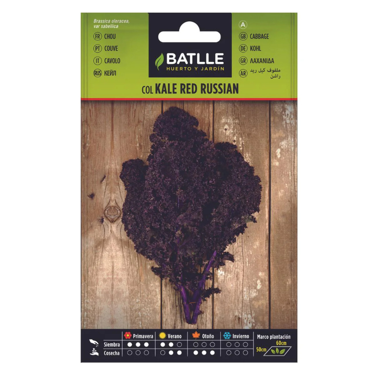 Semillas de Col Kale Red Russian Batlle