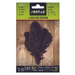 Semillas de Col Kale Red Russian Batlle