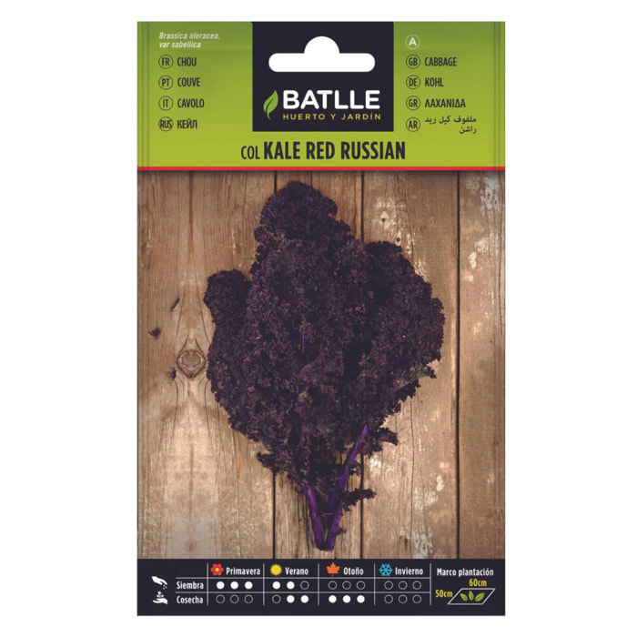 Semillas de Col Kale Red Russian Batlle