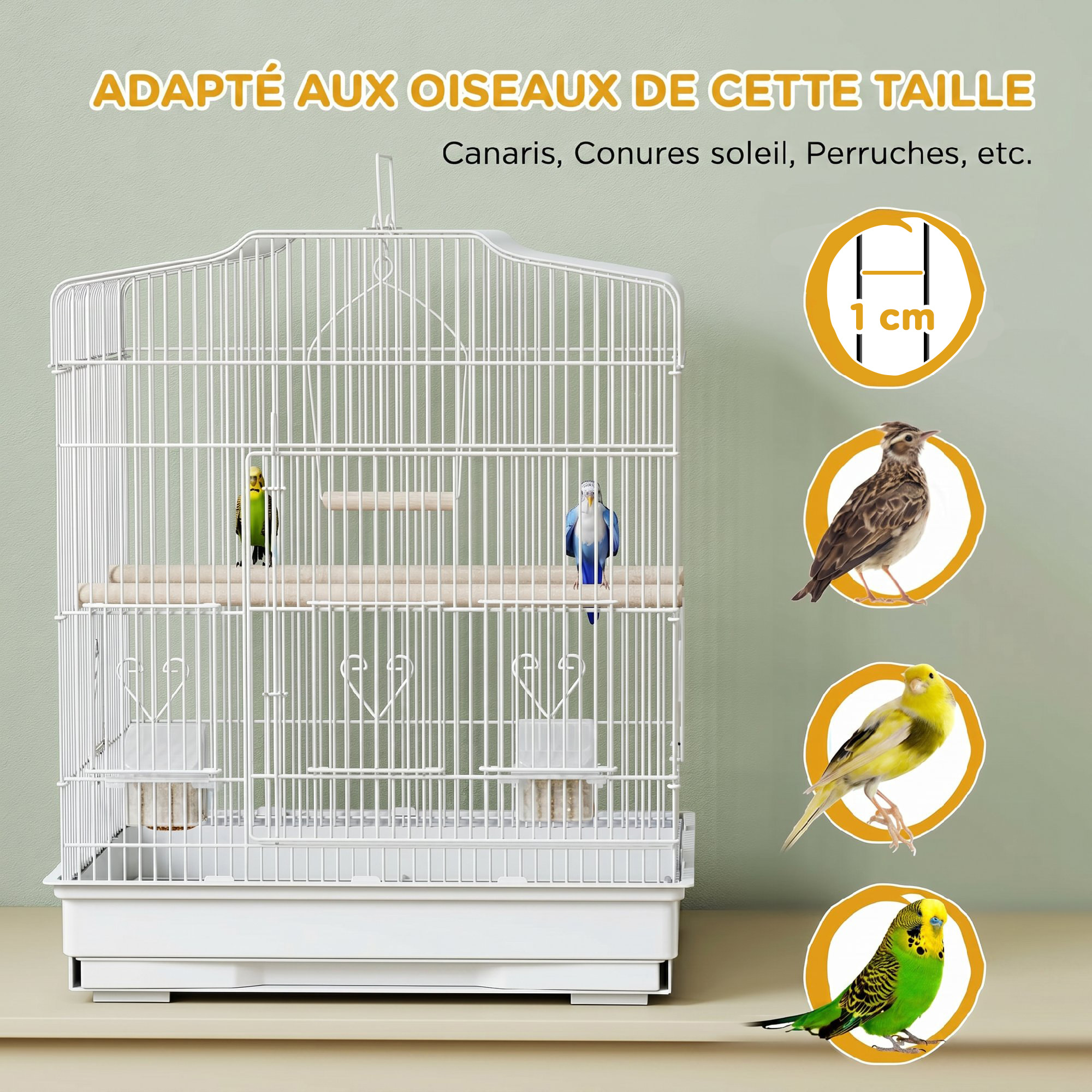 Cage oiseaux portable grande porte 5 trappes nourrissage + accessoires
