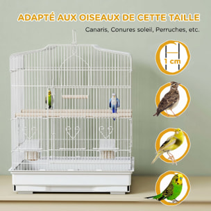 Cage oiseaux portable grande porte 5 trappes nourrissage + accessoires