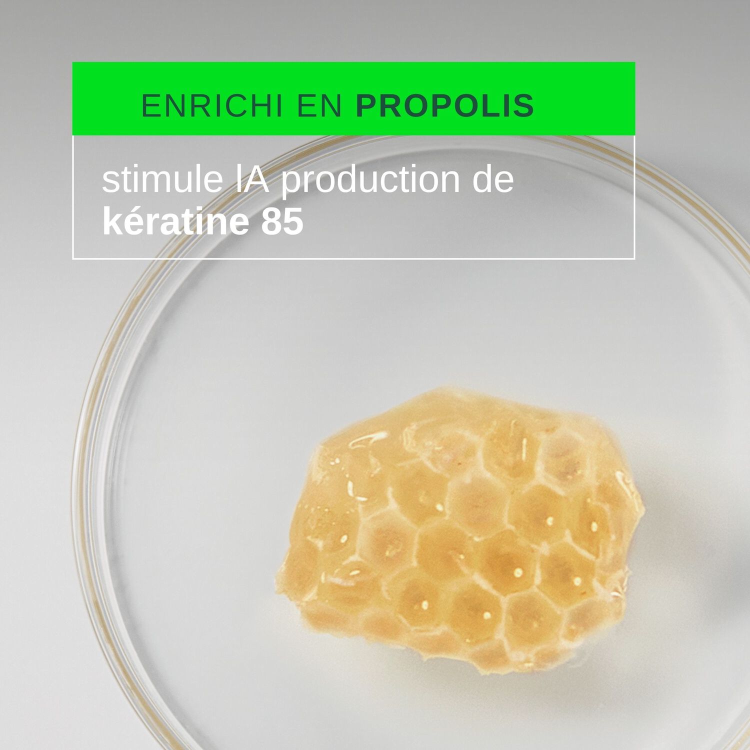 Triphasic Reactional  - Coffret Anti-Chute de 12 Ampoules