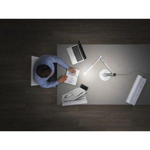 Lampe de Bureau Dyson Solarcycle Morph Blanc/Argent
