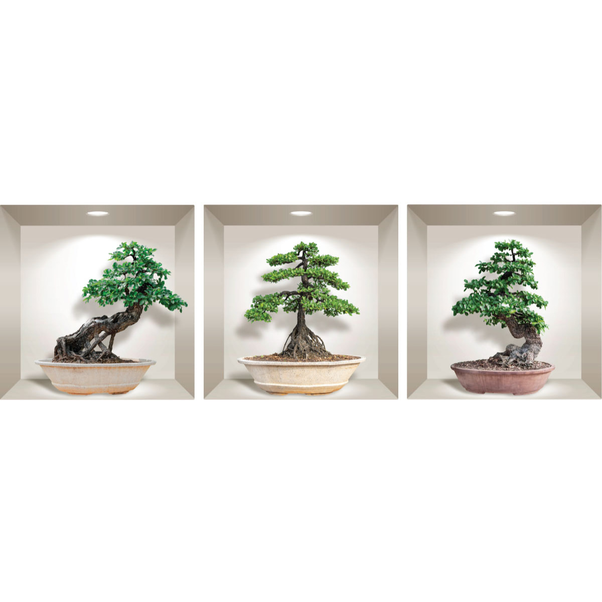 Stickers muraux 3D | Sticker Mural Autocollant effet 3D bonsai ginseng - Stickers adhésifs 3D Chambre Salon Trompe l'oeil