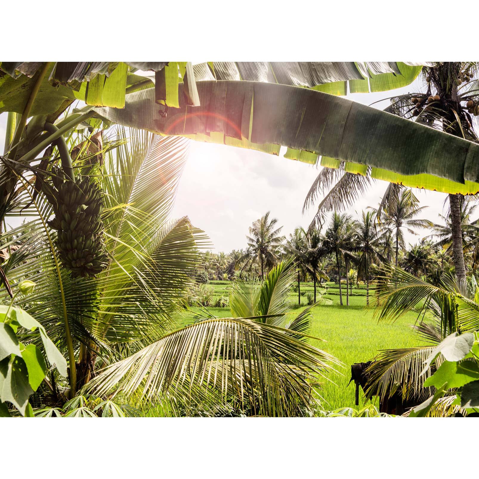 Papier peint panoramique exotique paysage de bali Intissé