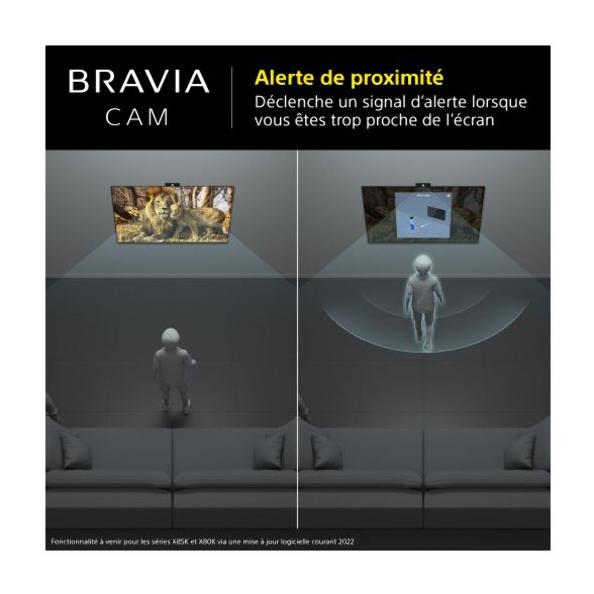 Caméra SONY Bravia Cam