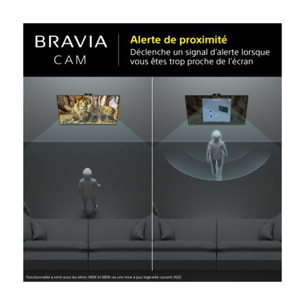 Caméra SONY Bravia Cam