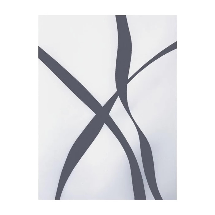Rideau de douche Polyester RIBBON Noir & Blanc Effet perlé Spirella