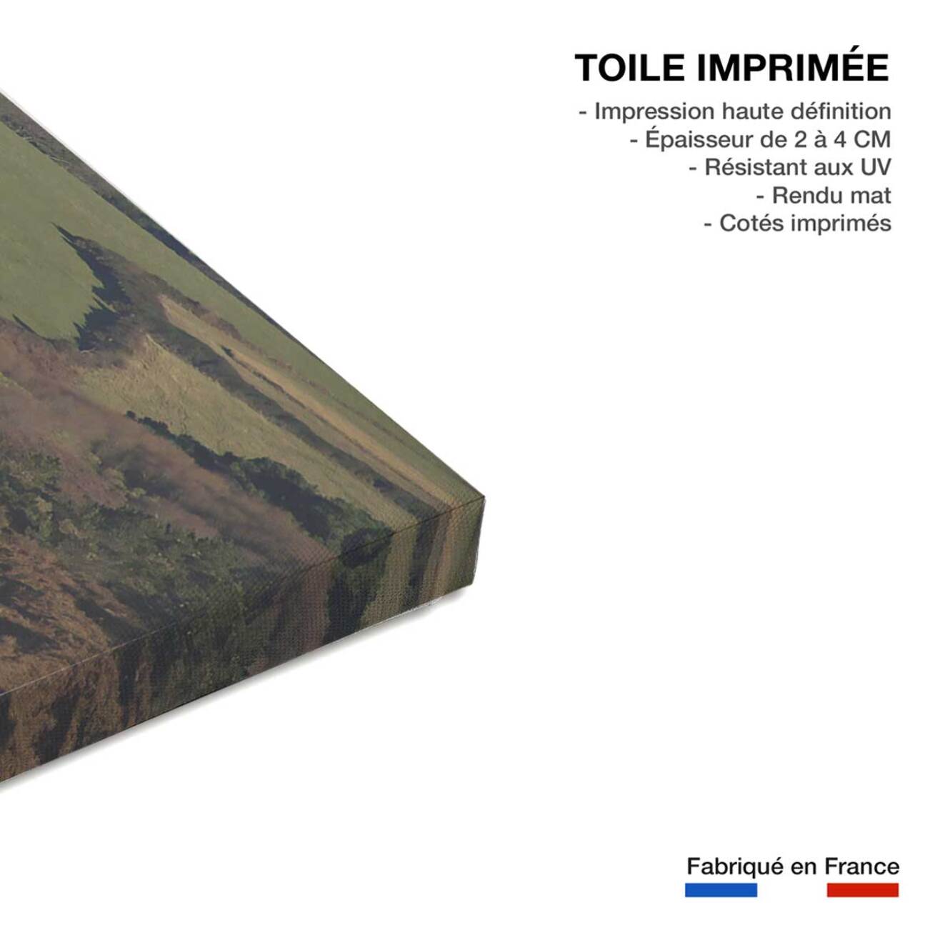 Tableau paysage ocean corniche d'hendaye  Toile imprimée