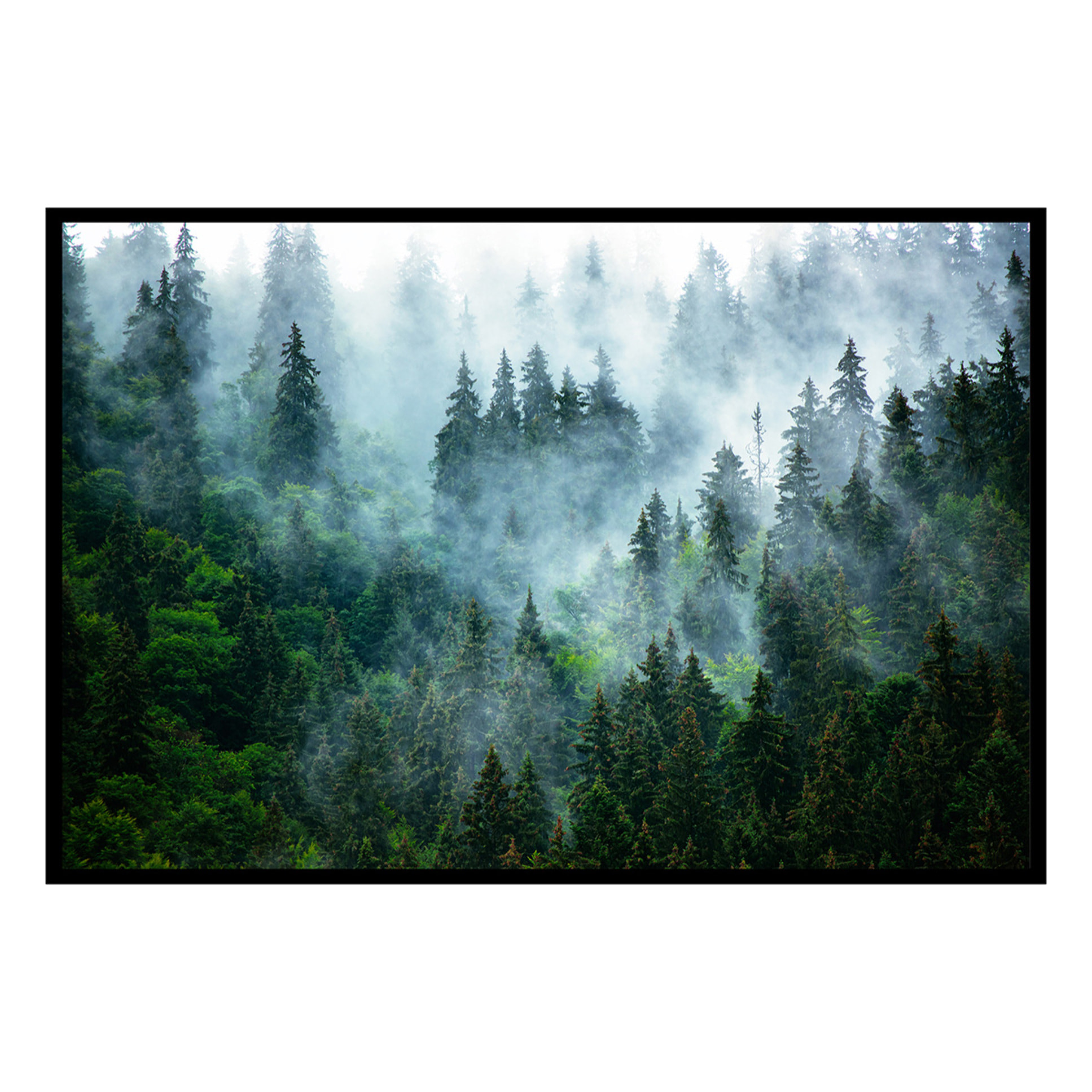 Affiche encadrée – Forêt de conifères dans la brume Affiche + cadre en métal - Noir