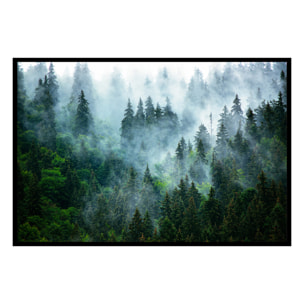 Affiche encadrée – Forêt de conifères dans la brume Affiche + cadre en métal - Noir