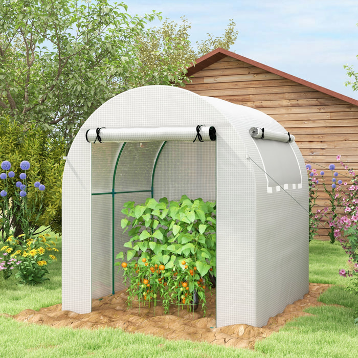 Invernadero de Jardín 180x180x200 cm Invernadero de Túnel Pequeño con Puerta Enrollable y Ventana de Malla para Cultivar Plantas Flores Blanco