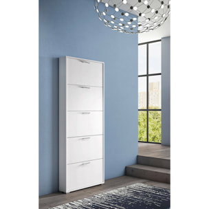 Scarpiera Margherita, Mobile multiuso da ingresso con 5 ante a ribalta, Armadietto portascarpe moderno, 100% Made in Italy, Cm 67x18h184, Bianco