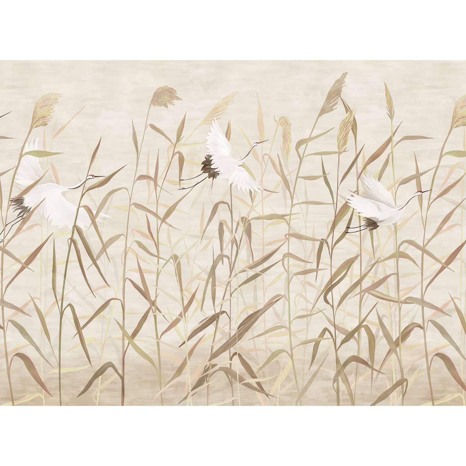 Papier peint graminées et grues ambiance zen naturelle Intissé