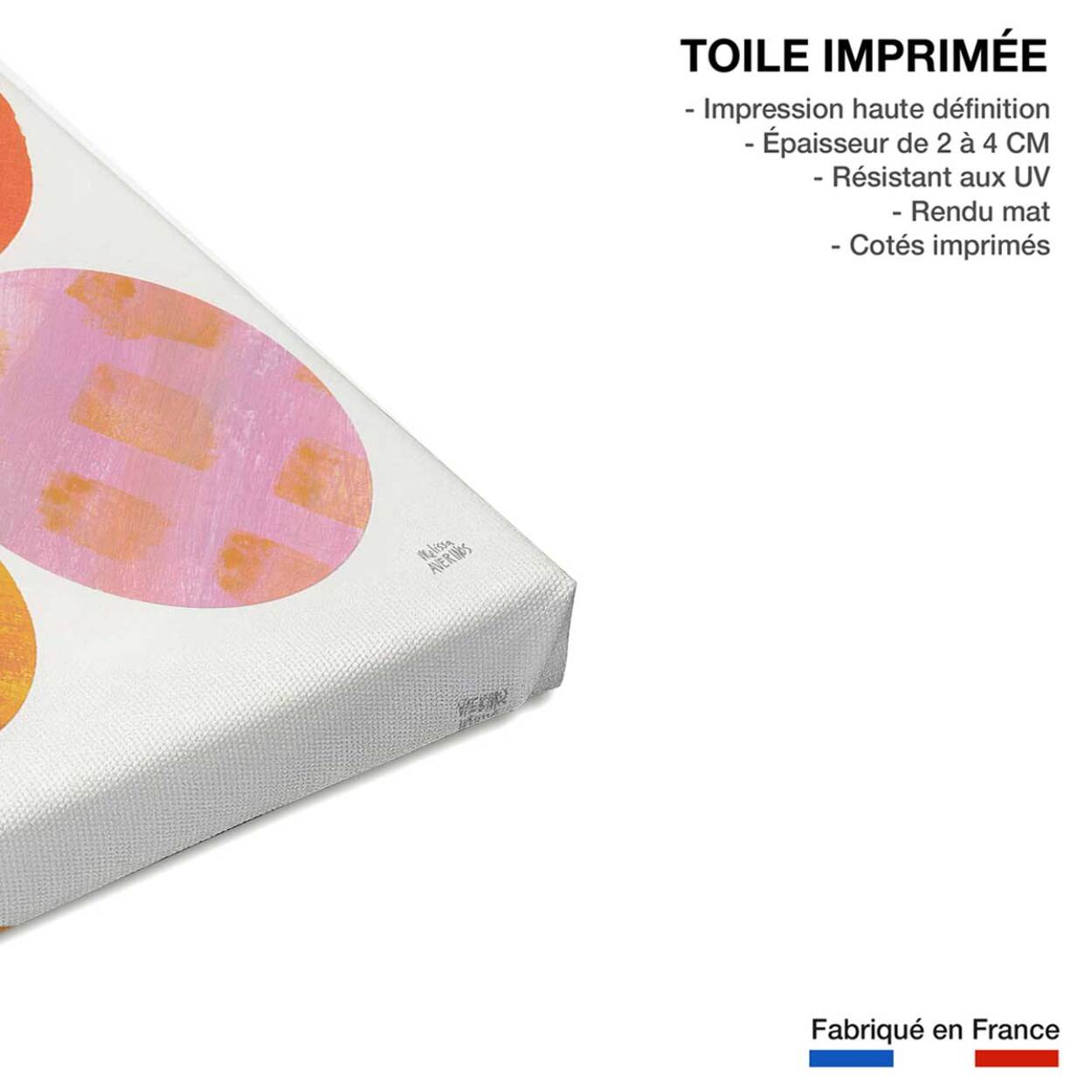 Tableau sun shine circle Toile imprimée