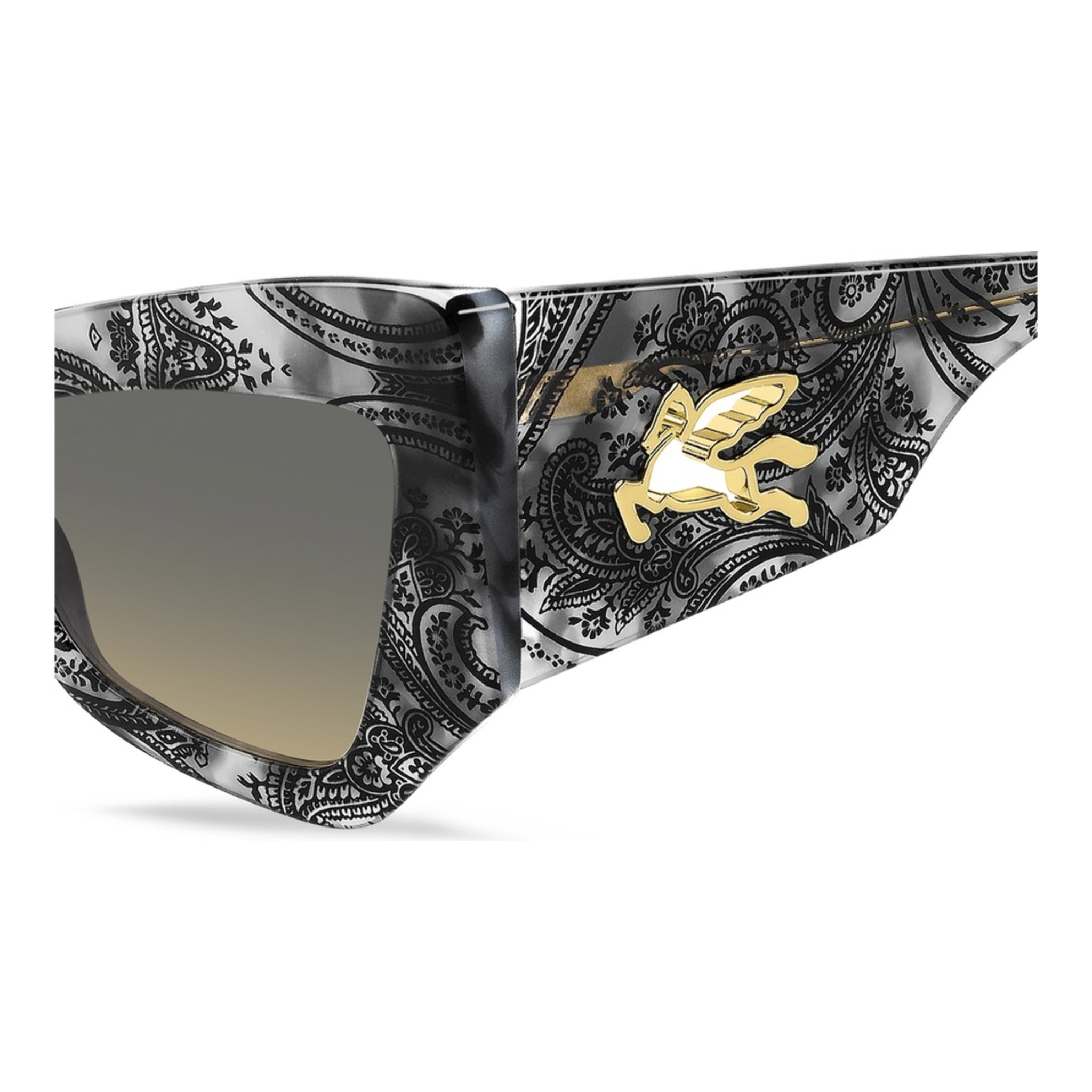 Gafas de Sol EtroMANIA AB8 de Acetato Mujer 55 mm