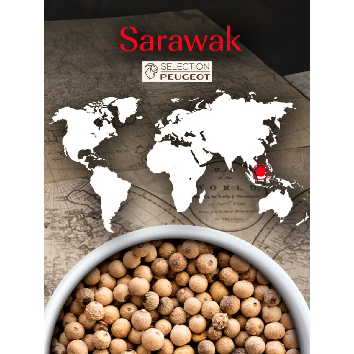Pack Poivres et Sel Classique Multipack Mix Standard