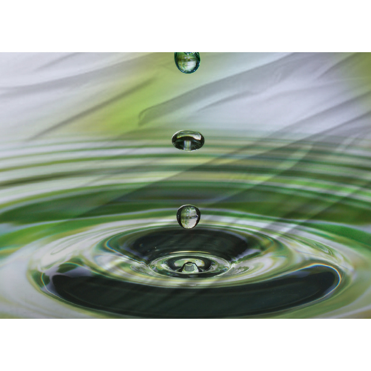 Copripiumino Stampa Digitale Disegno Green Zen Misura Letto Matrimoniale