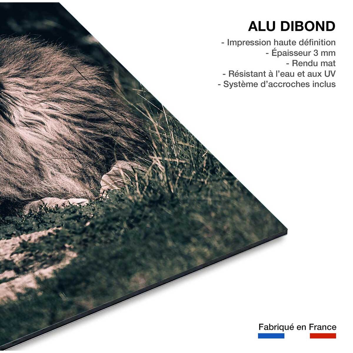 Tableau lion mon roi Tableau alu Dibond