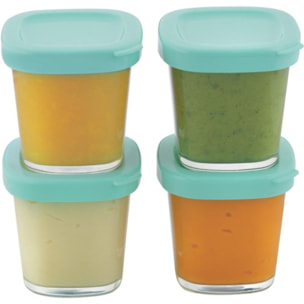 Mini cuve MOULINEX XF387E10 Mini-cuve COMPANION +4pots bébé