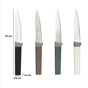 4 couteaux à steak manche antidérapant