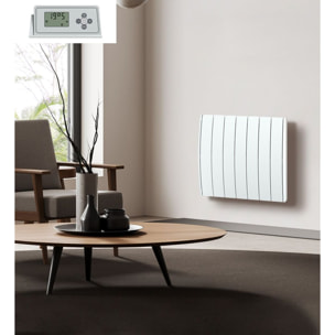 Radiateur inertie fonte 1500w