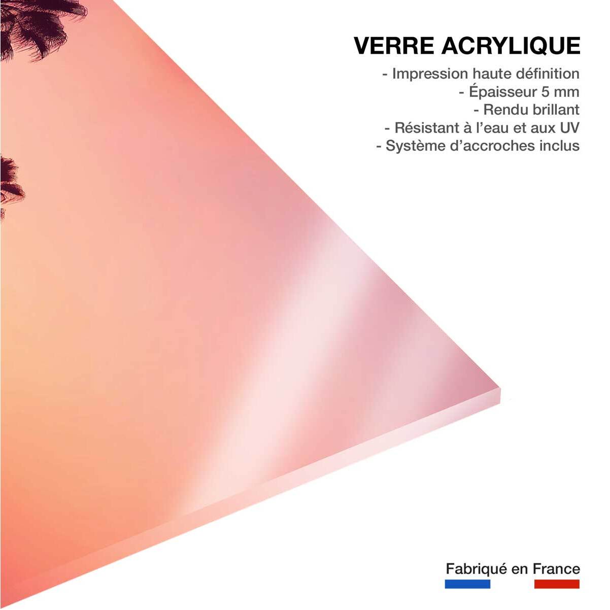 Tableau palmier rose ciel Tableau plexiglas