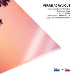 Tableau palmier rose ciel Tableau plexiglas