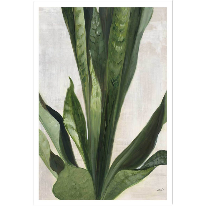 Poster Sanseveria aquarelle Affiche seule