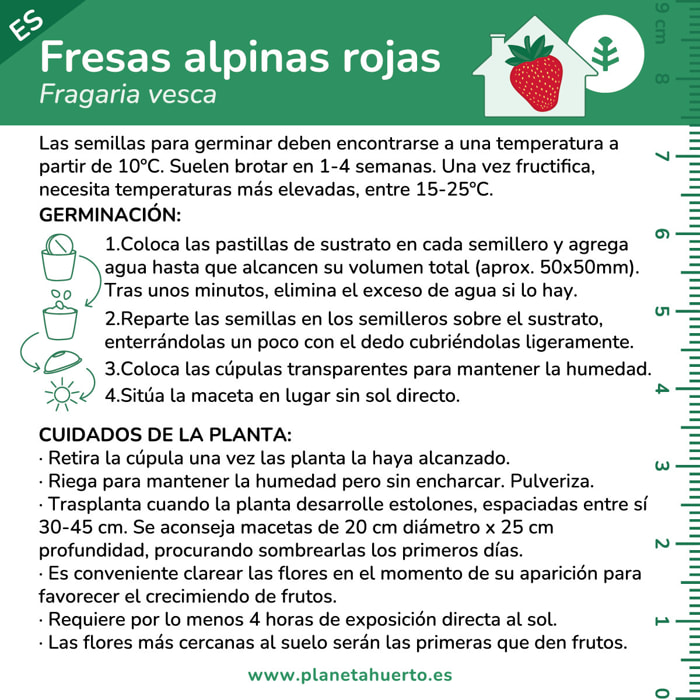 Kit de autocultivo Fresas alpinas rojas Planeta Huerto