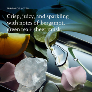 Frizz - Après-Shampooing Anti-Frisottis 236 ml