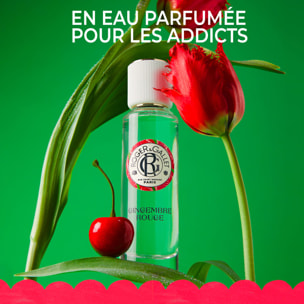 Gingembre Rouge - Coffret Trio Savons Bienfaisants