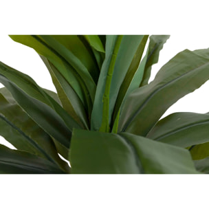 Planta Dracaena Fragrans Con Maceta 130x40x21 Cm