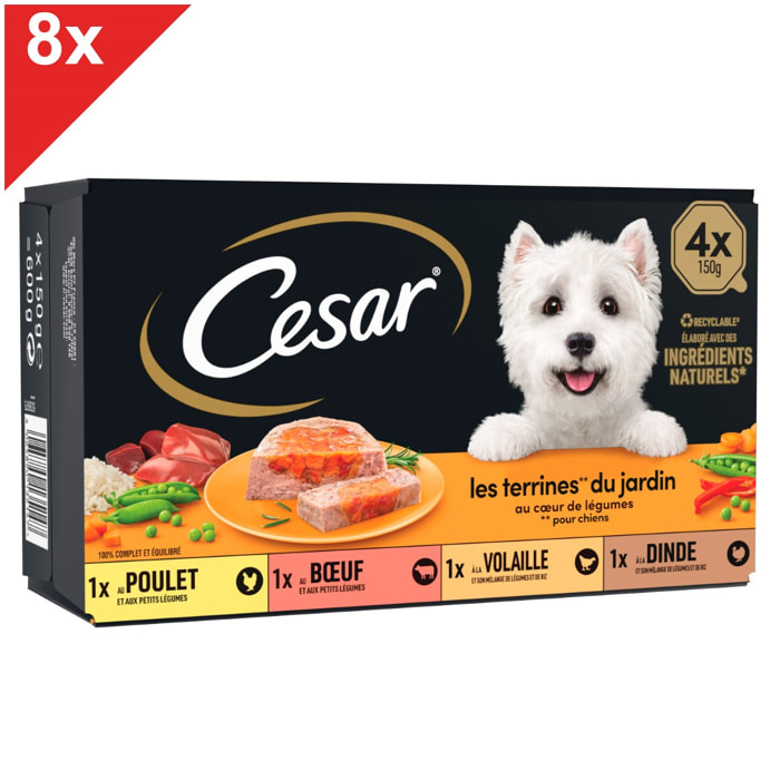 CESAR 32 Barquettes en terrine coeur de légumes pour chien 150g (8x4)