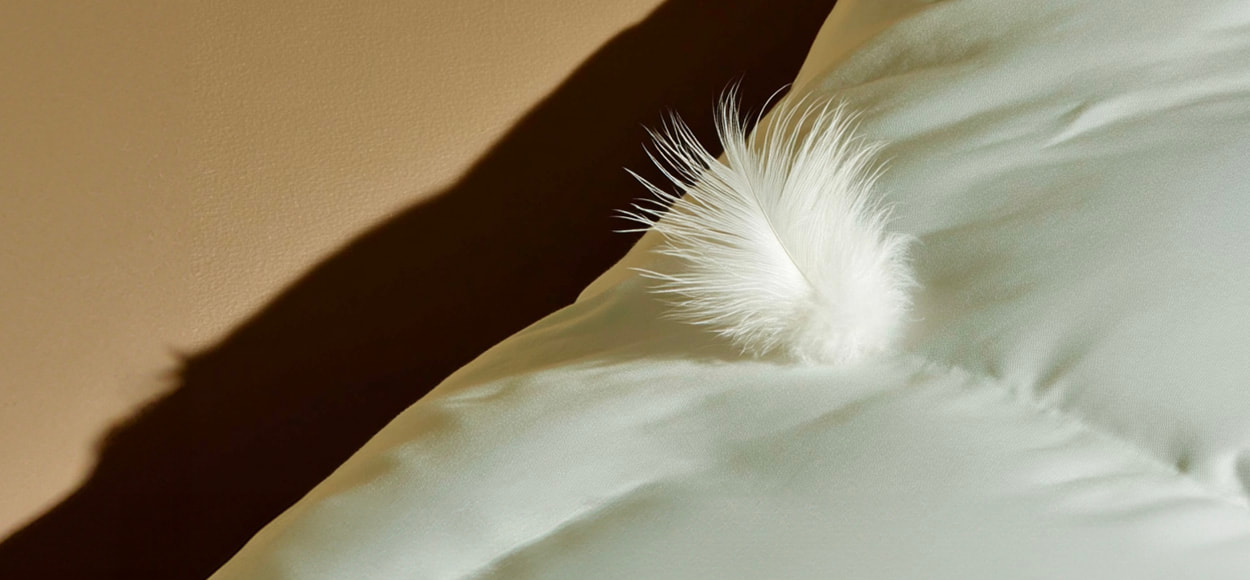 DROUAULT à bas prix chez VEEPEE